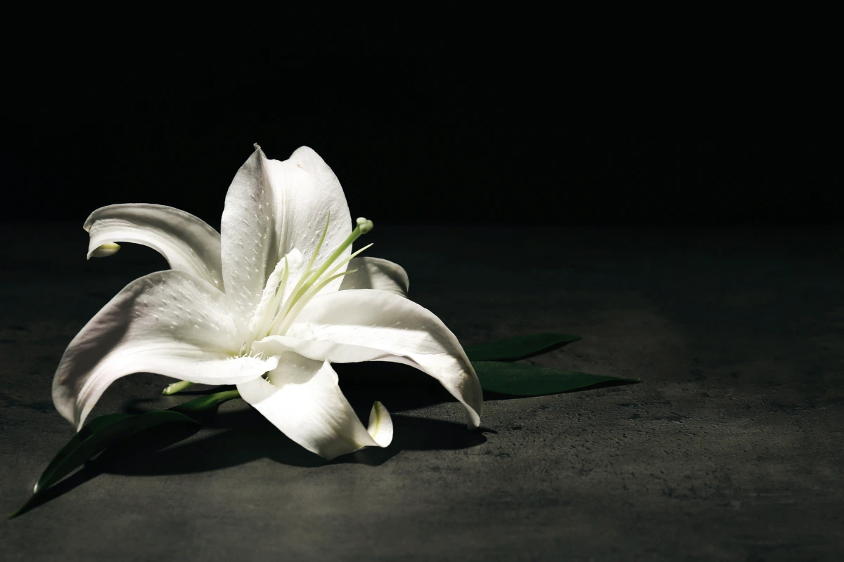 Details required to arrange funeral insurance in Spain